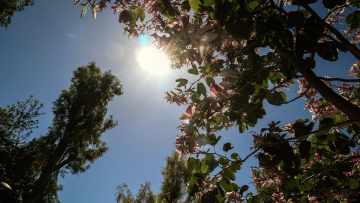 Καιρός: Αισθητή βελτίωση με ηλιοφάνεια στο μεγαλύτερο μέρος της χώρας την Κυριακή του Πάσχα - Δείτε χάρτες 