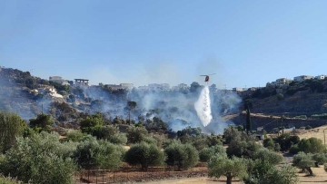 Χωρίς ενεργό μέτωπο η πυρκαγιά στην Ηλεία - Μάχη με τις διάσπαρτες εστίες σε Λάττα και Πρόδρομο