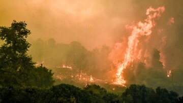 Πυροσβεστική: 21 αγροτοδασικές πυρκαγιές το τελευταίο 24ωρο - Συνελήφθη 27χρονος για πυρκαγιά από πρόθεση στην Ηλεία