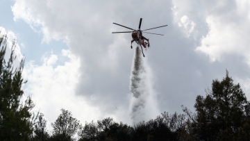 Αχαΐα: Οριοθετήθηκε η φωτιά σε δάσος στην περιοχή Γκραίκας