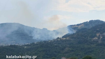 Φωτιά στην Παναγία Τρικάλων - Μήνυμα από το 112 για εκκένωση του οικισμού