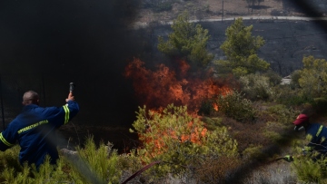 Φωτιά στην Κρυόβρυση Κοζάνης - Σηκώθηκαν και ενάερια μέσα