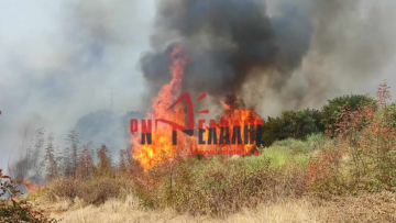 Θεσσαλονίκη: Υπό μερικό έλεγχο η φωτιά στην Πλάκα Λιτοχώρου