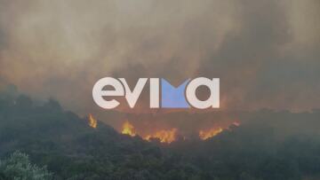 Μεγάλη φωτιά στην Εύβοια: Καίγεται δασική έκταση - Εκκενώθηκε ξενοδοχείο και εστάλη 112