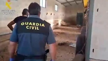 Εντοπίστηκαν 32 νεκρά σκυλιά σε αγρόκτημα στην Ισπανία - Τα είχαν παρατήσει χωρίς τροφή και νερό από τον Ιούνιο