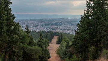 Έσφαξε και έγδαρε αρνί στο Σέιχ-Σου για να τηρήσει ένα έθιμο - Δίωξη σε 52χρονο

