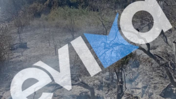 Σύλληψη 56χρονου για πρόκληση πυρκαγιάς σε δασική έκταση στην Εύβοια
