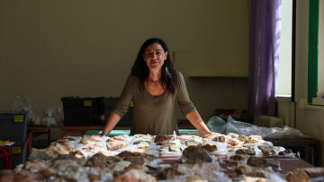 Η καθηγήτρια Αρχαιολογίας Νένα Γαλανίδου μας ξεναγεί στην Παλαιολιθική εποχή της Λέσβου