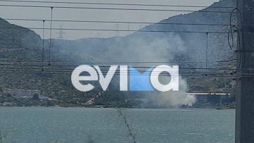 Φωτιά τώρα έξω σε ξερά χόρτα από εργοστάσιο στη Χαλκίδας