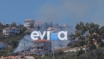 Κατεσβέσθη η φωτιά στην Ακτή Νηρέως στην Εύβοια