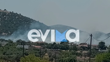 Φωτιά στην Εύβοια κοντά σε σπίτια και σε εργοστάσιο - Ήχησε 112
