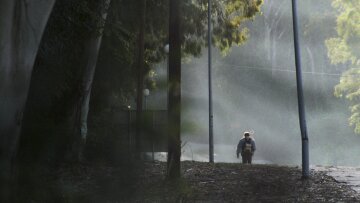 67ο Φεστιβάλ Κινηματογράφου Θεσσαλονίκης: Αυτές είναι οι ελληνικές ταινίες του προγράμματός του