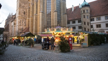 Γερμανία: Συνελήφθη Ιρακινός ως ύποπτος για τον σχεδιασμό επίθεσης σε χριστουγεννιάτικη αγορά