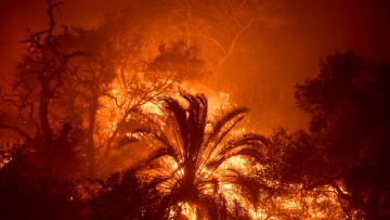Πυρκαγιές στην περιοχή του Μαλιμπού - Εντολές για εκκένωση οικισμών