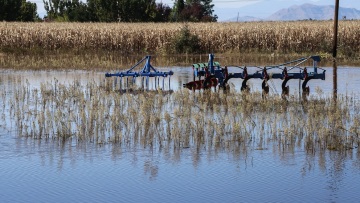 ΕΛΓΑ: Την Παρασκευή οι αποζημιώσεις 1,2 εκατ. ευρώ για τις κακοκαιρίες Daniel-Elias