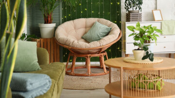 4 φυτά εσωτερικού χώρου που προσφέρουν ευεξία και καλύτερη υγεία