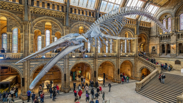 5+1 μουσεία στην Ευρώπη ειδικά σχεδιασμένα για τους μικρούς επισκέπτες