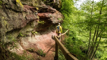 Moselsteig, το απίθανης ομορφιάς μονοπάτι της Γερμανίας 