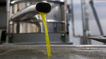 Κακουργηματικές διώξεις στους συλληφθέντες για το… εξαιρετικά παρθένο ελαιόλαδο - Κατασχέθηκαν πάνω από 15 τόνοι