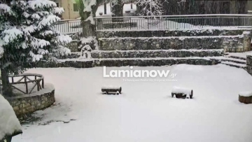 Χωριό της Λαμίας έχει βυθιστεί στο χιόνι - Αδύνατη η πρόσβαση 