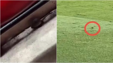 Μάντσεστερ Γιουνάιτεντ: Ποντικός κόβει βόλτες στον αγωνιστικό χώρο του Ολντ Τράφορντ στον αγώνα με την Σαουθάμπτον - Δείτε βίντεο