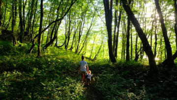   Τι είναι το «forest bathing» που αναζητούν ολοένα και περισσότεροι ταξιδιώτες 