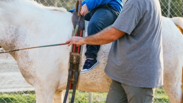 Θεσσαλονίκη: Επτά καταγγελίες για ασέλγεια σε βάρος εκπαιδευτή ιππασίας  -  Θύματα και τέσσερις ανήλικες