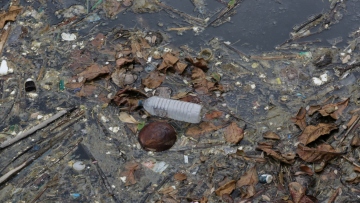 ΕΕ: Τα επιφανειακά ύδατα στην Ευρώπη βρίσκονται σε «κρίσιμη» υγειονομική κατάσταση