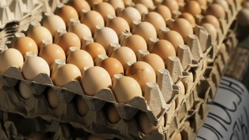 ΗΠΑ: Έκλεψαν 100.000 αυγά αξίας 40.000 δολαρίων από αποθήκη στην Πενσυλβάνια