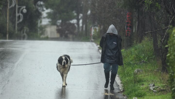 Καιρός - Κολυδάς: Μονοψήψιες οι μέγιστες θερμοκρασίες από την Τετάρτη μέχρι την Κυριακή στην Αθήνα