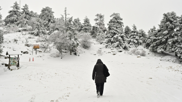 Έκτακτο δελτίο από την ΕΜΥ για την κακοκαιρία Coral - Χαμηλές θερμοκρασίες, χιόνια και δυνατοί άνεμοι, τι ισχύει για την Αττική