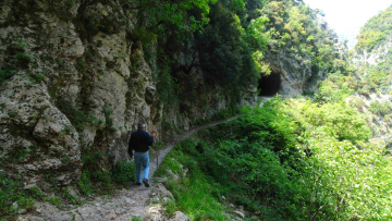   Η Σκάλα της Τζαβέλαινας: Ένα μονοπάτι μέσα από την Ιστορία και τη Φύση της Ηπείρου