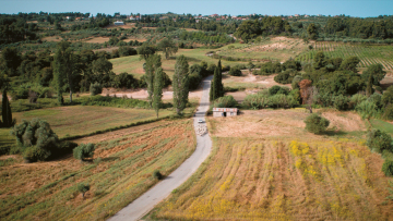 Καθαρισμός οικοπέδων 2026: Μέχρι πότε η προθεσμία για δηλώσεις και εργασίες, τι αλλάζει φέτος - Χρήσιμος οδηγός