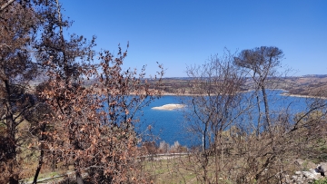 Εμφανίστηκε... βραχονησίδα στη Λίμνη Μαραθώνα - Τι δείχνουν τα στοιχεία για τα αποθέματα νερού στην Αττική