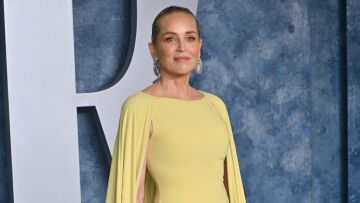 Σάρον Στόουν: Αποκάλυψε πως απολύθηκε χωρίς καμία προειδοποίηση από το «Another Simple Favor»