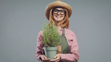 Νόσος Αλτσχάιμερ: Το αρωματικό βότανο που βελτιώνει τη μνήμη και καταπολεμά τη φλεγμονή