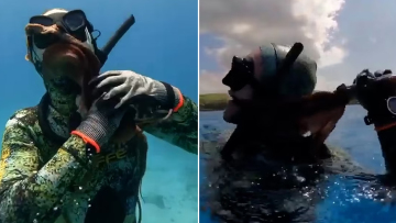 Χταπόδι πήγε να... στραγγαλίσει δύτη στη Ρωσία, επειδή το «ενόχλησε» - Δείτε βίντεο 