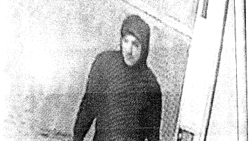 Στο εδώλιο ο 39χρονος που σκότωνε και βασάνιζε αδέσποτα κατά συρροή στον Βόλο - Η δικογραφία για τις φρικτές του πράξεις