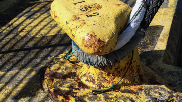 Νεκρός εντοπίστηκε 33χρονος ναυτικός μέσα σε πλοίο στον Πειραιά