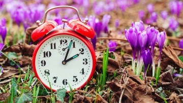 Eαρινή ισημερία 2026: Τι ώρα μπαίνει επίσημα η άνοιξη