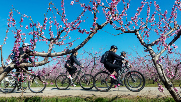 Καιρός: Νοέμβριος με δύο πρόσωπα - Ανοιξιάτικες θερμοκρασίες μέχρι και την Τετάρτη, κρύο και βροχές το τελευταίο δεκαήμερο