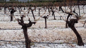 Πυκνή χαλαζόπτωση στην Κορινθία - Δείτε βίντεο και φωτογραφίες 