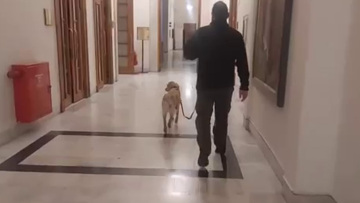 Λήξη συναγερμού στη Βουλή - Ολοκληρώθηκε ο έλεγχος από τον σκύλο της ΕΛΑΣ μετά το μήνυμα  στο 112 για βόμβα, δεν βρέθηκε κάτι ύποπτο