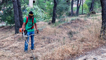 Τι αλλάζει στους καθαρισμούς των οικοπέδων με το νέο νομοσχέδιο - Πότε λήγει η προθεσμία για τους ιδιοκτήτες