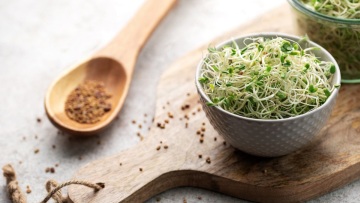 Πώς να φτιάξετε φρέσκα φύτρα στο σπίτι – Ένας πλήρης οδηγός