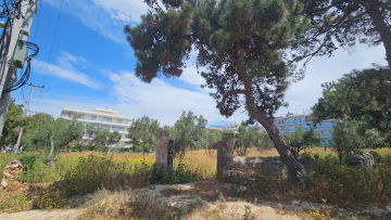 Τουρνάς: Να περιορίσουμε τις ενάρξεις πυρκαγιών και να μειώσουμε την καύσιμη ύλη - Από την Τρίτη ξεκινούν έλεγχοι για τα ακαθάριστα οικόπεδα