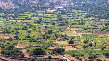 Σε ένα πέτρινο κτίσμα, αλλοτινό χαμάμ, στη δυτική Λέσβο, ήπιαμε κρασί από γη με αμπελουργική ιστορία αιώνων