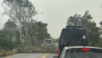 Σαρώνεται από ισχυρούς ανέμους η Δυτική Κρήτη: Πτώσεις δέντρων και πολλά προβλήματα σε Χανιά και Ρέθυμνο