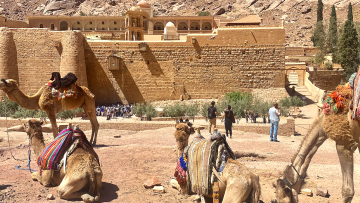 Μονή Σινά: Το αραβικό παζάρι της Αιγύπτου και η «κόκκινη γραμμή» της Ελλάδας - Στο Κάιρο σήμερα ο Γεραπετρίτης