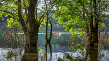 7 λίμνες στην Ελλάδα για αναζωογονητικές αποδράσεις
